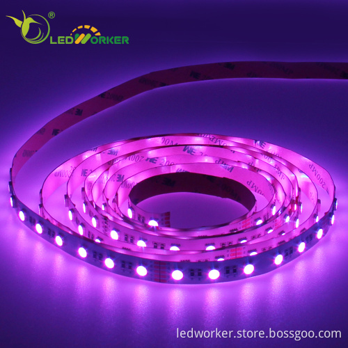 4-in-1 RGBW LED Strip Light 5m DC12V Flexible SMD5050